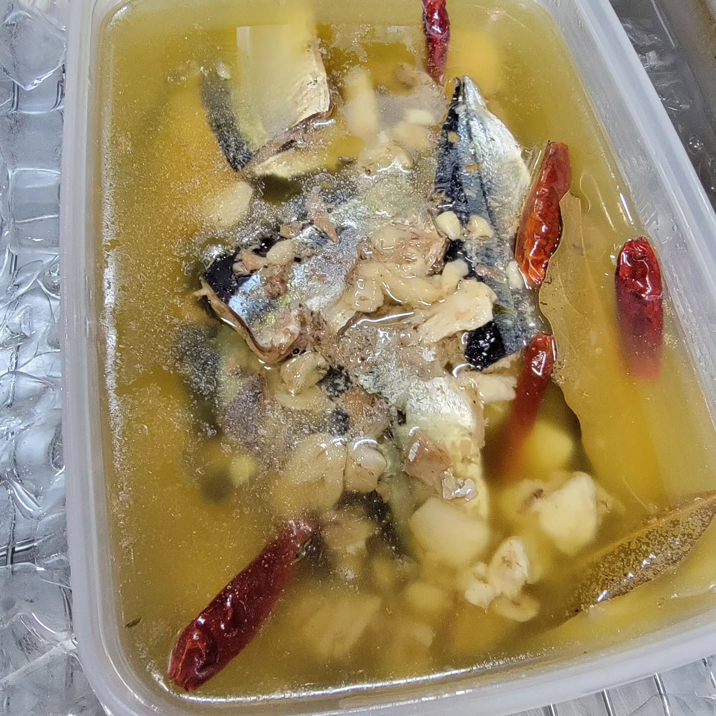 こんばんは漁師料理フレスコです